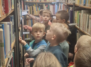 Ważki w bibliotece