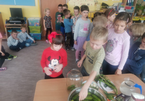 Dzieci wkładają ogórki do słoika