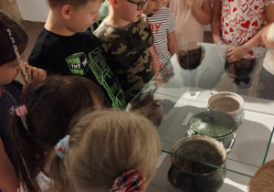 Kilkoro dzieci ogląda eksponaty w gablocie