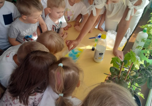 Pani Małgosia pokazuje dzieciom z grupy III eksperyment