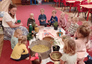 Pani zielarka i dzieci z grupy Biedronki siedzą na dywanie przy rozłożonych naczyniach z ziołami