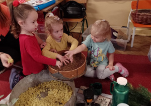 Marcelinka, Antosia i Stenia dotykają nasion kozierdki w naczyniu