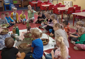 Dzieci z grupy Motylki siedzą na dywanie i oglądają zioła pokazywane przez panią zielarkę
