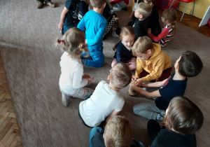 Dzieci w grupach układają na dywanie plastry drewna według wielkości