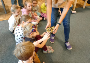 Dzieci dotykają pytona królewkiego