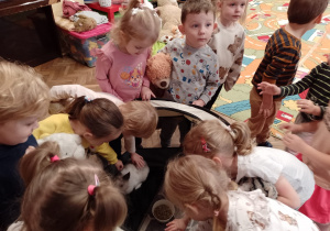 Dzieci głaszczą króliczki w kojcu
