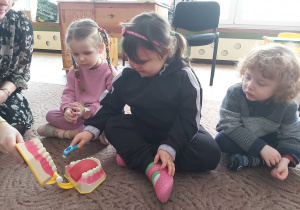 Oliwia, Jula i Antek oglądają model zębów dentystycznych