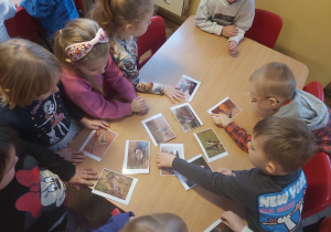 Grupka dzieci ogląda zdjęcia ptaków rozłożone na stoliku