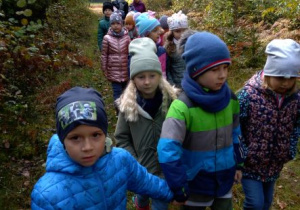 Dzieci spacerują leśną dróżką