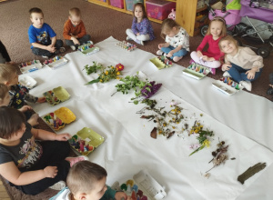 Dzieci siedzą na dywanie z pudełkami wokół rozłożonych skarbów przyrody