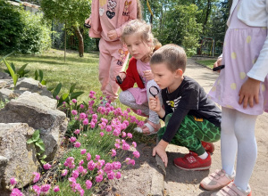 Czworo dzieci z lupami obserwują owady na roślinach w ogrodzie