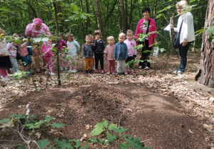 Dzieci z grupy Biedronki obserwują mrowisko