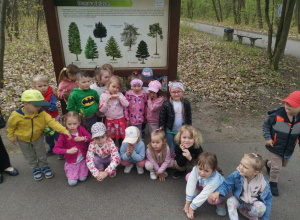 Dzieci przy tablicy edukacyjnej- drzewa iglaste