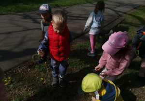 Kilkoro dzieci z lupami ogląda małe zwierzątka