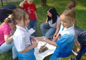 Drużyna dzieci układa zwierzątko z materiałów przyrodniczych