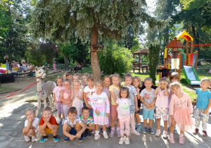 Dzieci z grupy Biedronki z alpakami