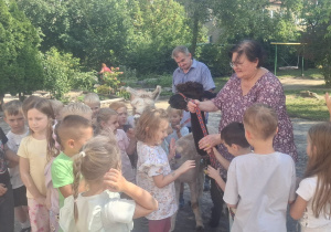 Dzieci z grupy Ważki stoją przy alpakach