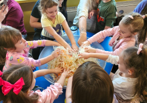 Dzieci z rodzicami przy stolikach ugniatają kapustę