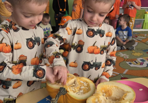 Dwóch chłopców wyjmuje pestki z przekrojonej dyni