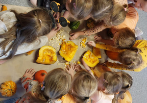 Dzieci wyciągają pestki z pokrojonej dyni