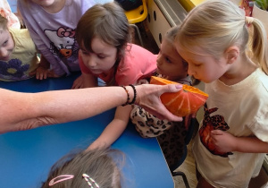 Dziewczynka wącha przekrojoną dynię