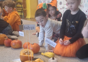 Dzieci poznaja budowę dyni