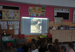Dzieci z grupy Mrówki oglądają film o niedźwiadku Wojtku