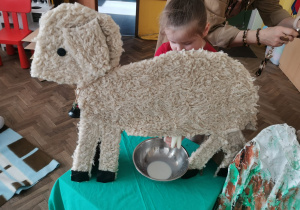 Dziewczynka doi owcę