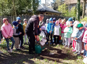 Dzieci patrzą, jak pan Jarek wsadza drzewko