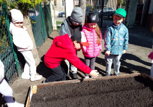 Chłopiec sieje nasionka na grządce