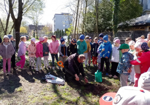Dzieci patrzą, jak pan Jarek wsadza drzewko