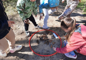 Kilkoro dzieci układa z materiału przyrodniczego ogródek w obręczy