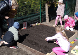 Dwoje dzieci sypie nasiona na grządkę