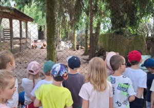 Dzieci przy zagrodzie ze zwierzętami
