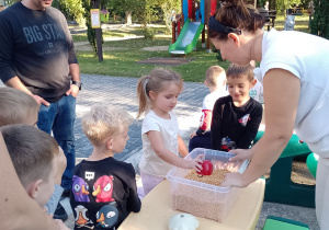 Dziewczynka wyjmuje jabłko z pojemnika z fasolą