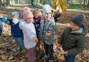 Kilkoro dzieci pokazuje zebrane liście i żołędzie