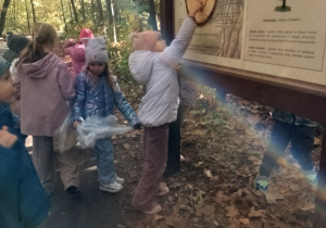 Dzieci stoją przy tablicy z przekrojem pnia drzewa