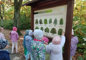 Dzieci stoją przy tablicy z drzewami liściastymi