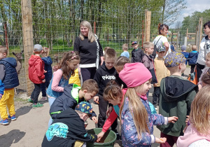 Dzieci z grupy VI podczas zwiedzania mini-zoo