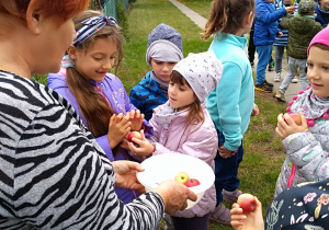 Działkowiczka - Pani Ania częstuje dzieci jabłkami