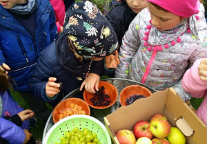 Dzieci oglądają owoce z ogródka