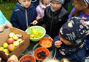 Dzieci próbują różne owoce